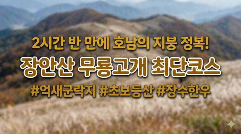 장수 장안산 최단코스 억새 산행 가이드 썸네일