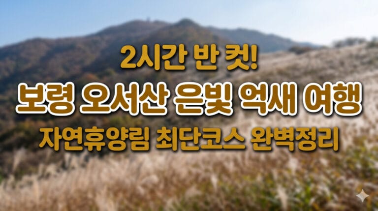오서산 억새 능선과 바다 풍경 위에 텍스트가 적힌 블로그 썸네일