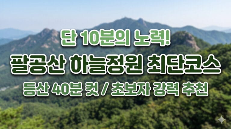 팔공산 하늘정원 최단코스 등산 40분 컷 소개 썸네일 이미지